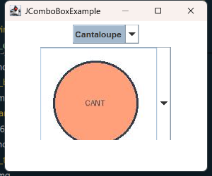 JComboBox 실행 결과